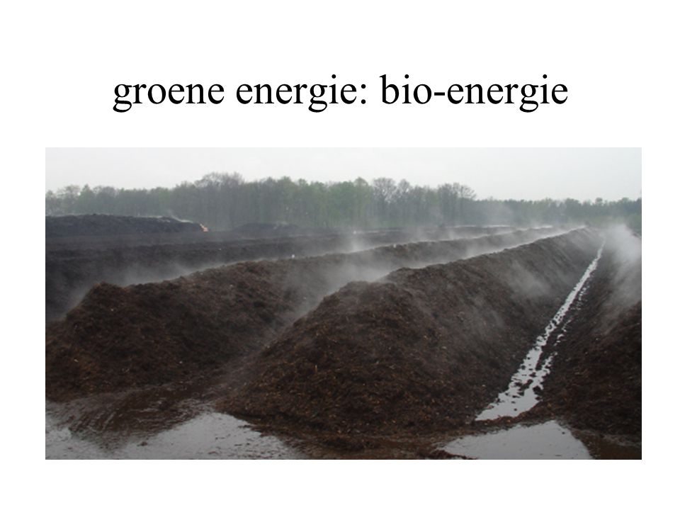 groene energie: bio-energie