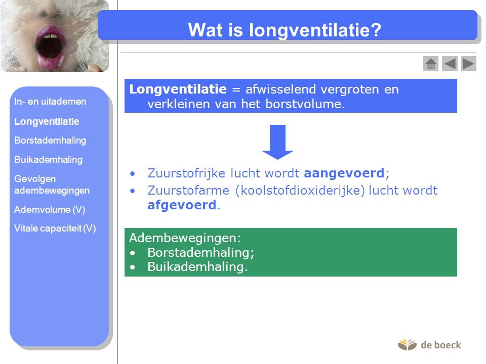 Wat is longventilatie Longventilatie = afwisselend vergroten en verkleinen van het borstvolume. In- en uitademen.