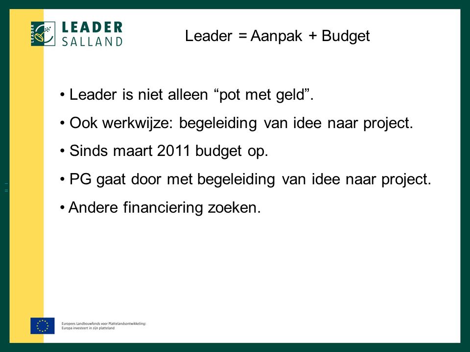 Leader = Aanpak + Budget