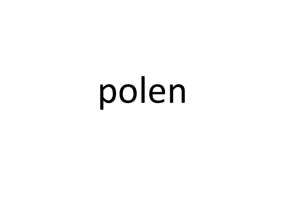 polen