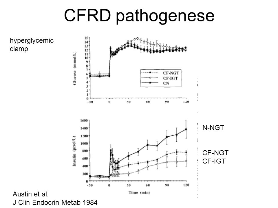 CFRD pathogenese hyperglycemic clamp N-NGT CF-NGT CF-IGT Austin et al.
