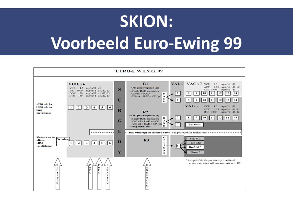 SKION: Voorbeeld Euro-Ewing 99