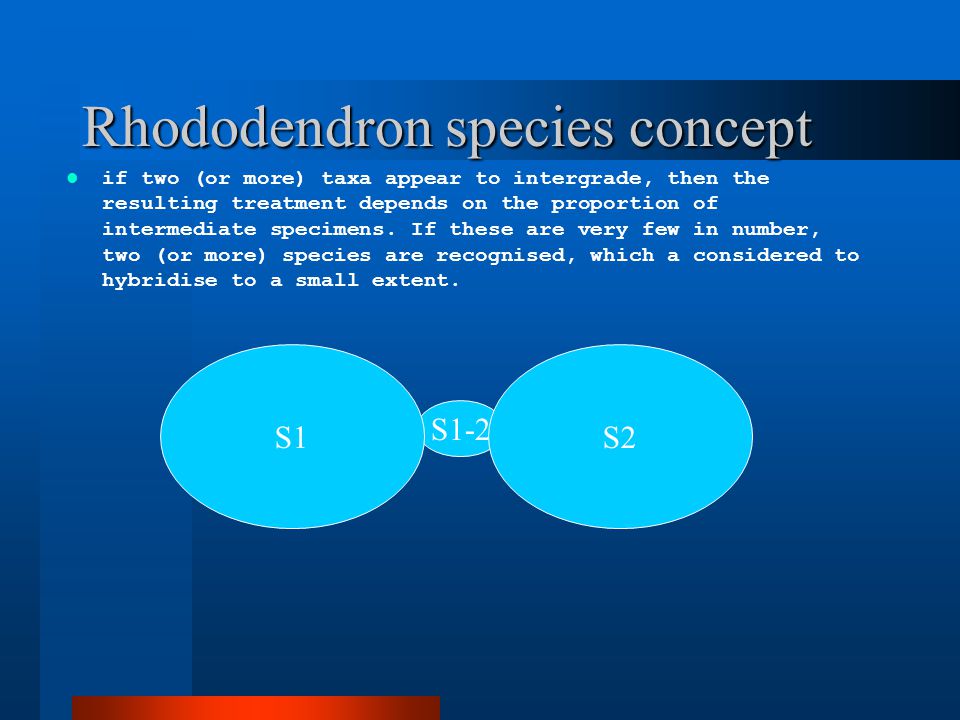 Rhododendron species concept