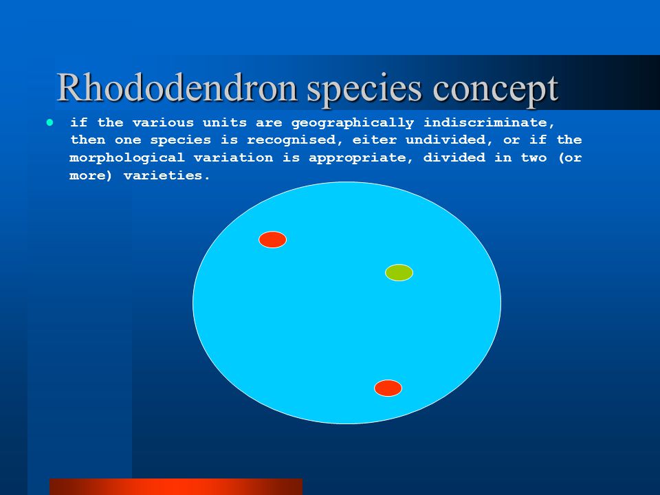 Rhododendron species concept