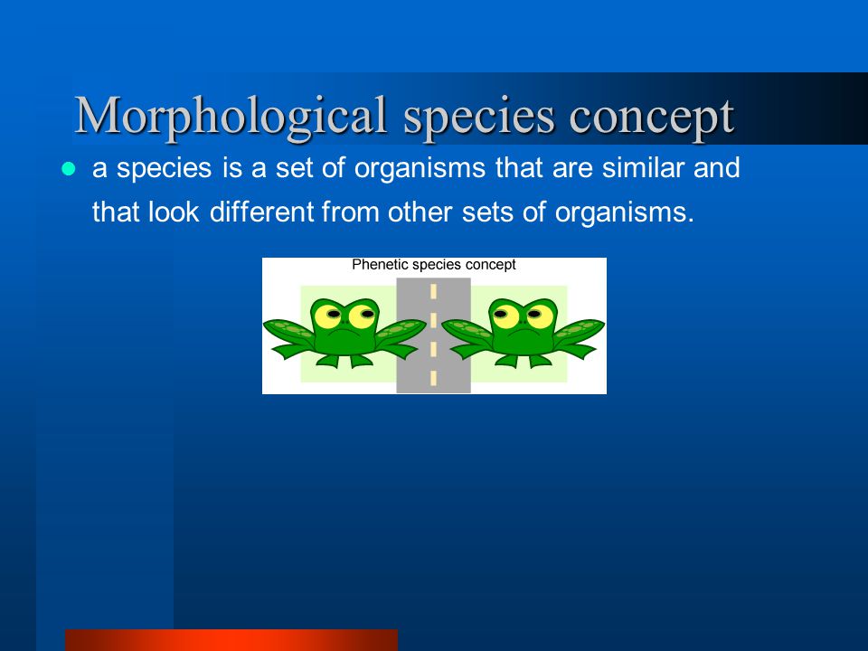 Morphological species concept