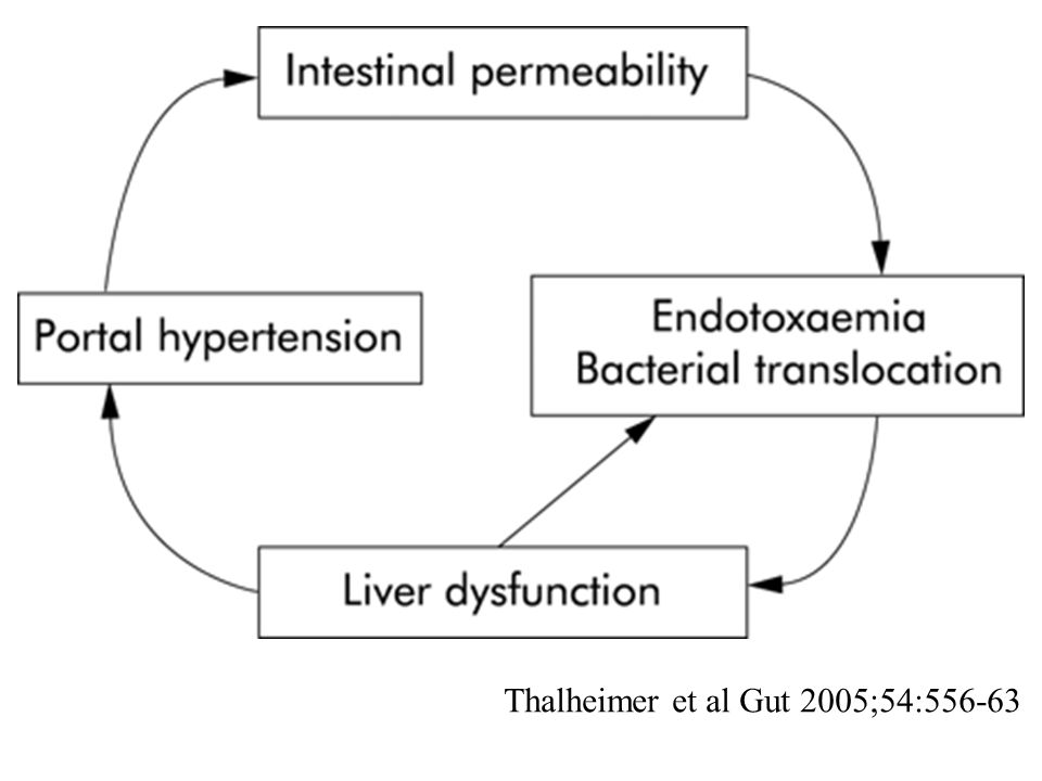 Thalheimer et al Gut 2005;54:556-63