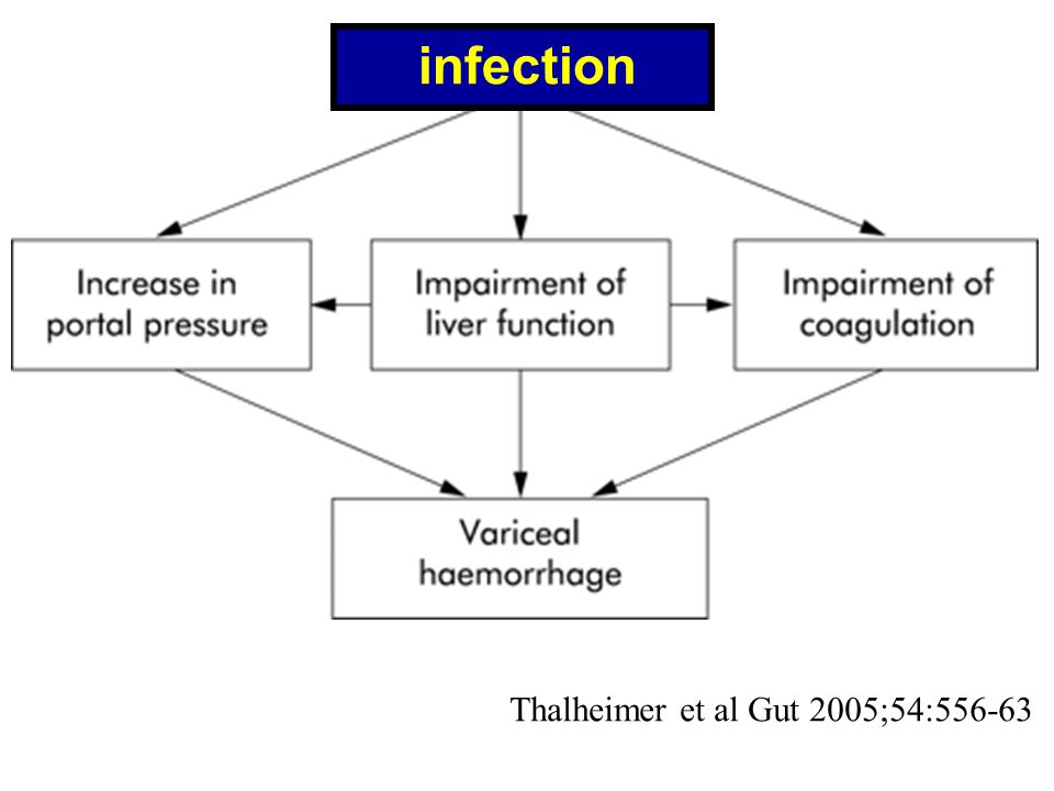 infection Thalheimer et al Gut 2005;54:556-63