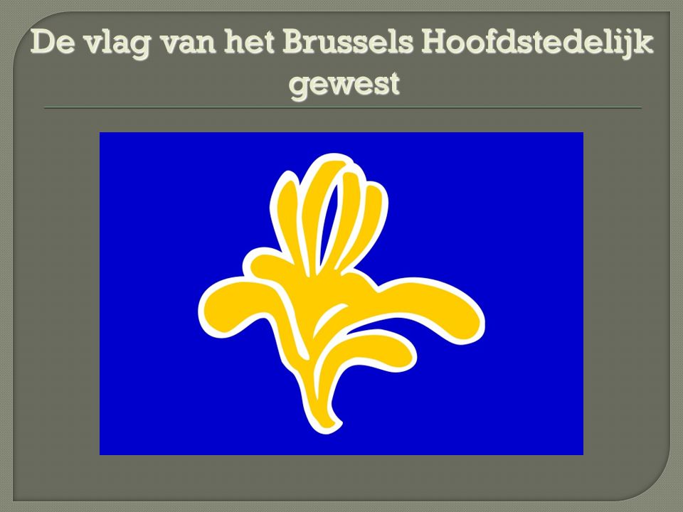 De vlag van het Brussels Hoofdstedelijk gewest