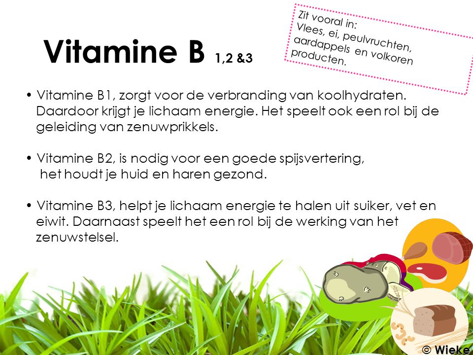 Vitamine B 1,2 &3 Zit vooral in: Vlees, ei, peulvruchten, aardappels en volkoren producten.