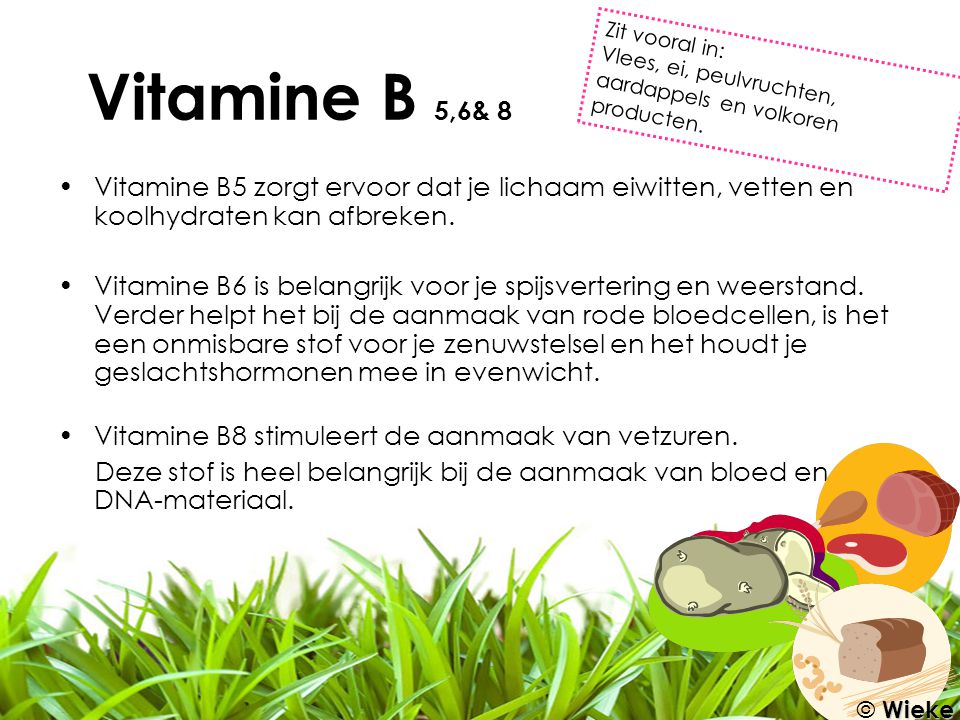 Vitamine B 5,6& 8 Zit vooral in: Vlees, ei, peulvruchten, aardappels en volkoren producten.