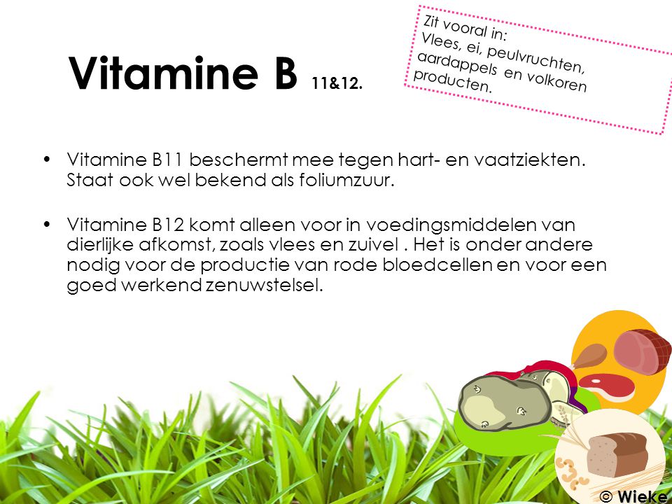 Vitamine B 11&12. Zit vooral in: Vlees, ei, peulvruchten, aardappels en volkoren producten.