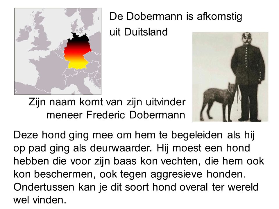 De Dobermann is afkomstig