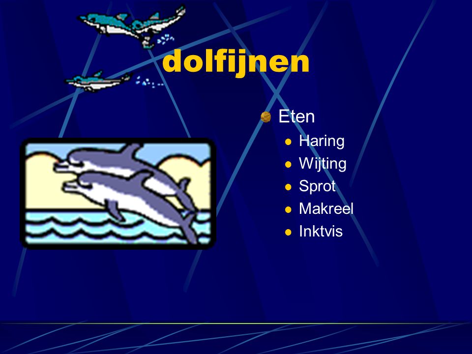 dolfijnen Eten Haring Wijting Sprot Makreel Inktvis