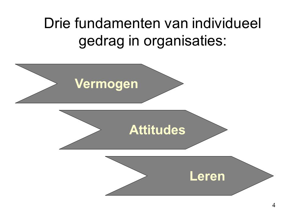 Drie fundamenten van individueel gedrag in organisaties: