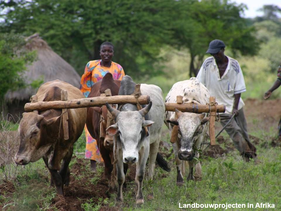 Landbouwprojecten in Afrika