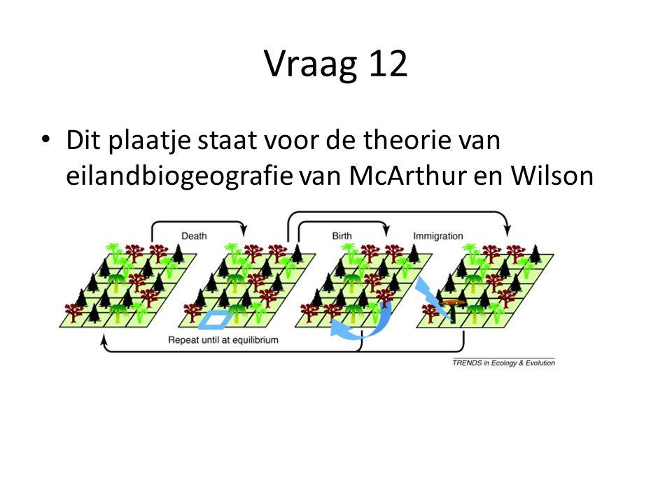 Vraag 12 Dit plaatje staat voor de theorie van eilandbiogeografie van McArthur en Wilson