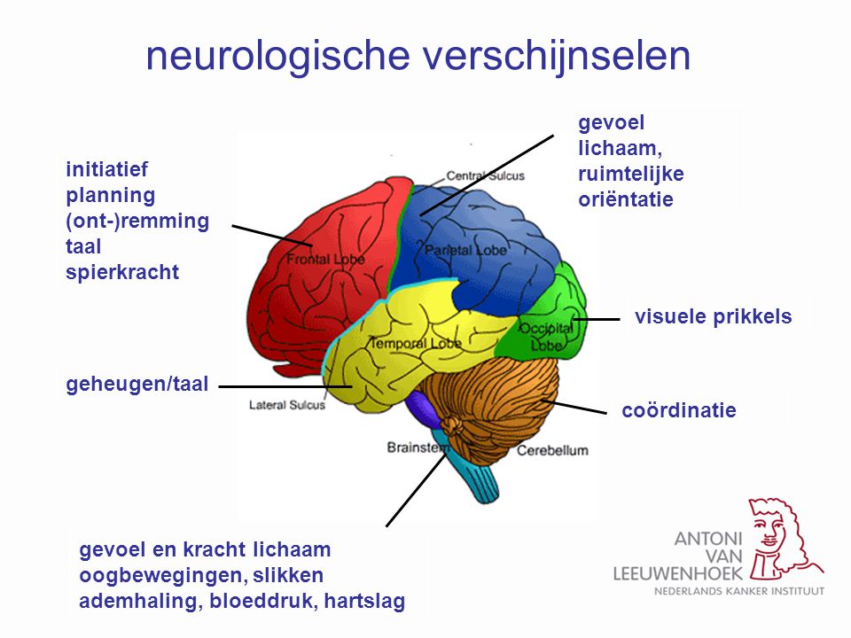 neurologische verschijnselen