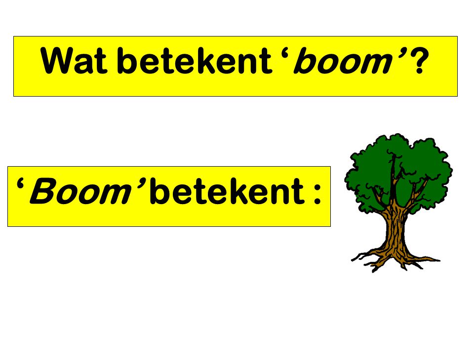 Wat betekent ‘boom’ ‘Boom’ betekent :