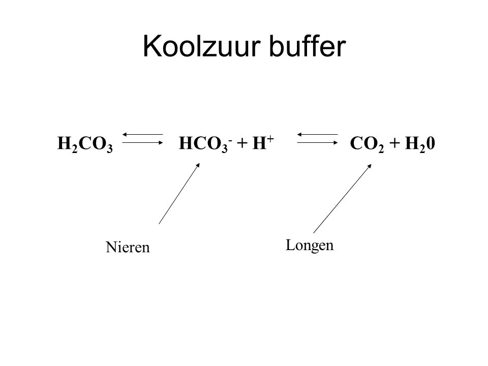 Koolzuur buffer H2CO3 HCO3- + H+ CO2 + H20 Nieren Longen