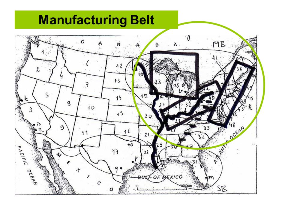 Manufacturing Belt