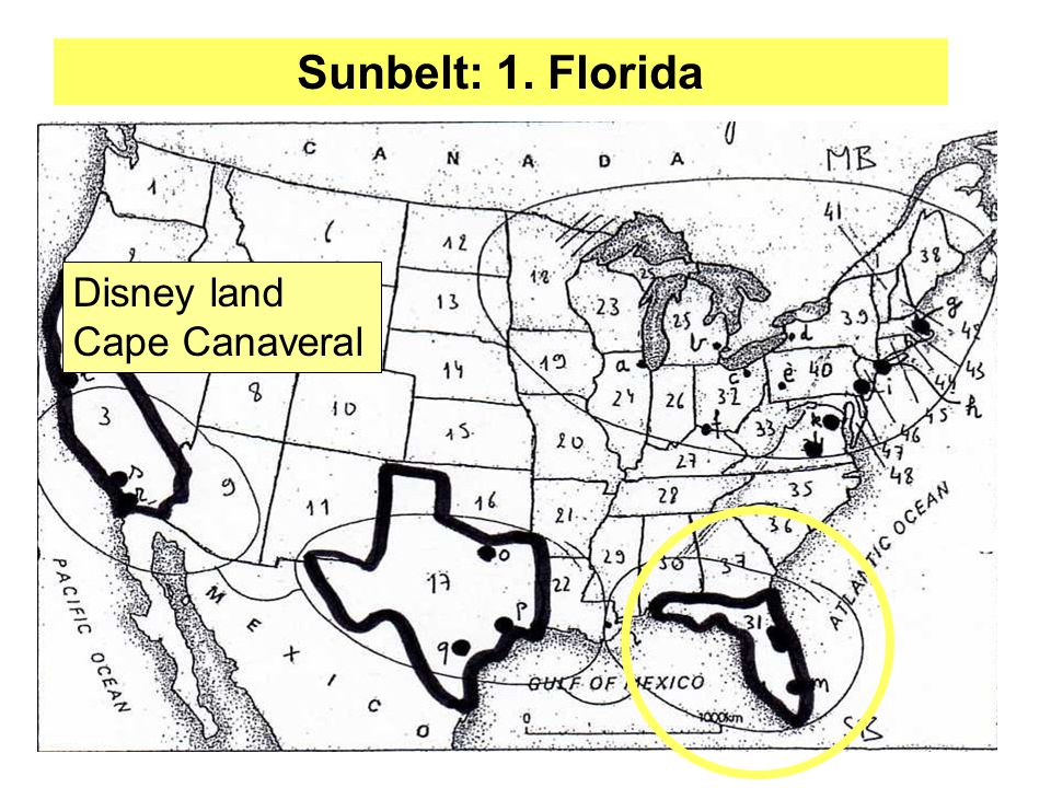 Sunbelt: 1. Florida Disney land Cape Canaveral