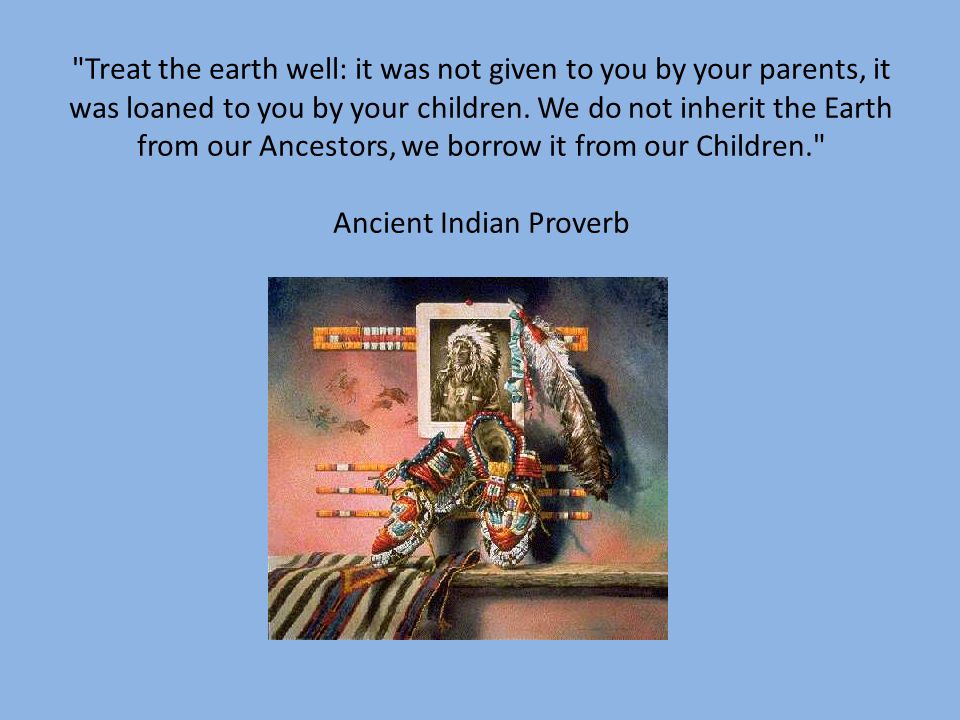Treat the earth well: it was not given to you by your parents, it was loaned to you by your children.