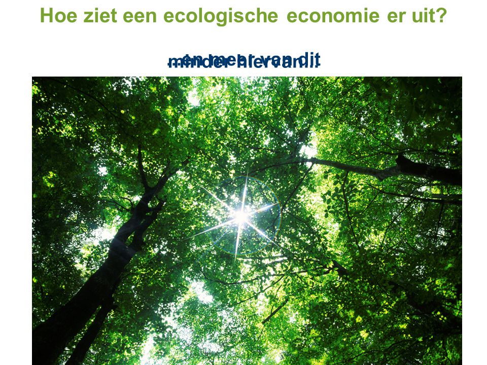 Hoe ziet een ecologische economie er uit