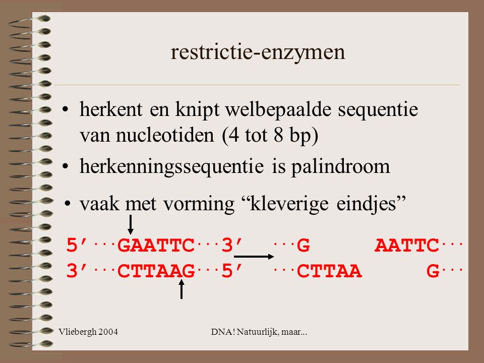 restrictie-enzymen herkent en knipt welbepaalde sequentie van nucleotiden (4 tot 8 bp) herkenningssequentie is palindroom.