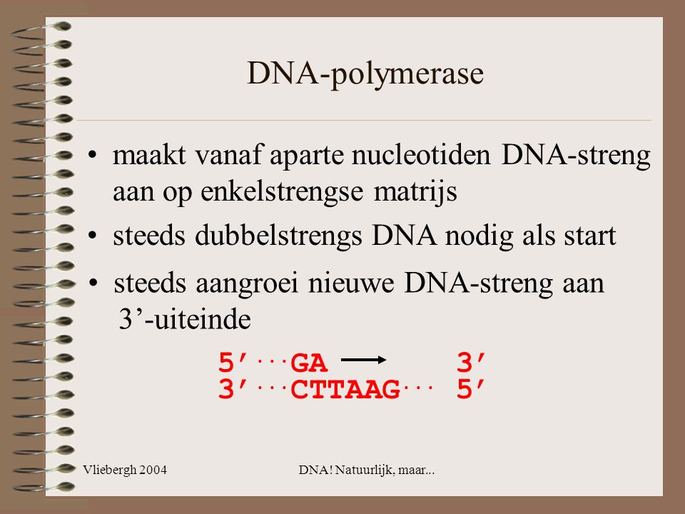DNA-polymerase maakt vanaf aparte nucleotiden DNA-streng aan op enkelstrengse matrijs. steeds dubbelstrengs DNA nodig als start.