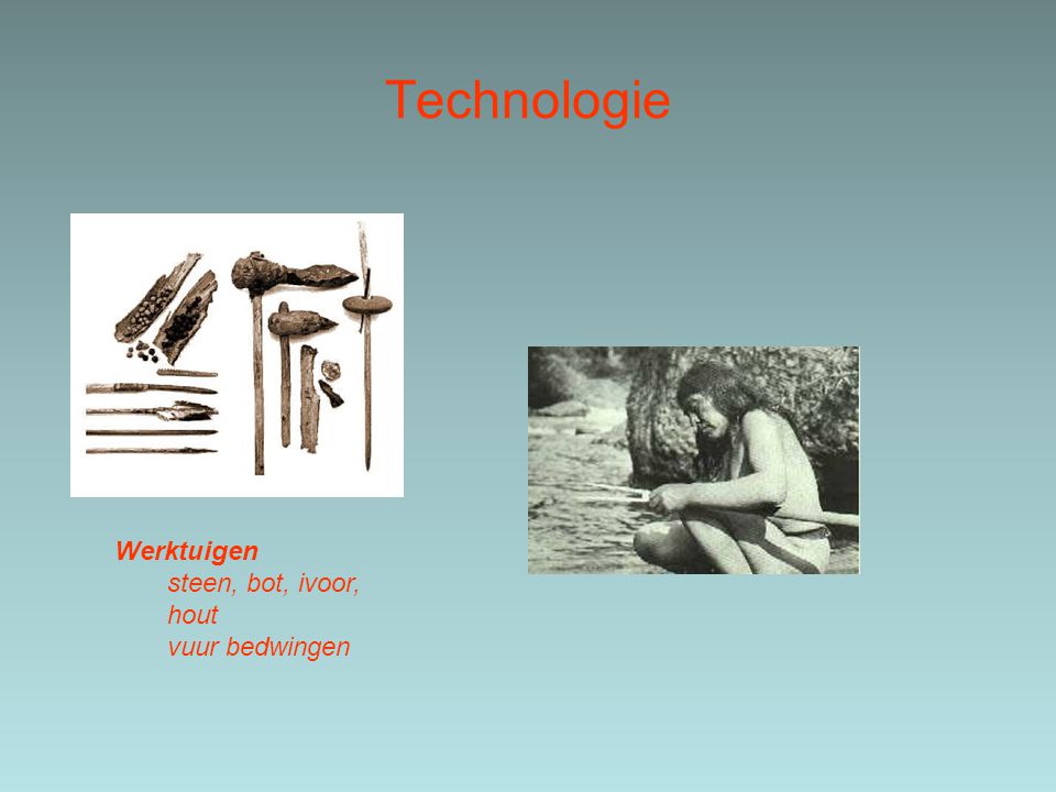 Technologie Werktuigen steen, bot, ivoor, hout vuur bedwingen