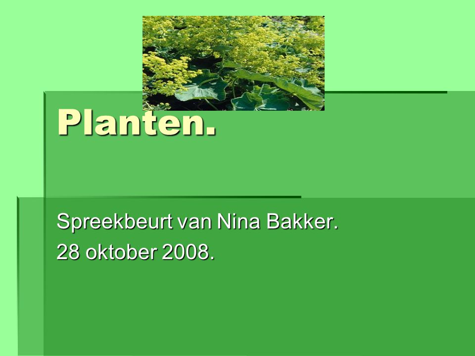 Spreekbeurt van Nina Bakker. 28 oktober 2008.