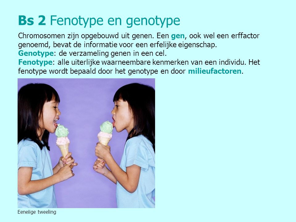 Bs 2 Fenotype en genotype