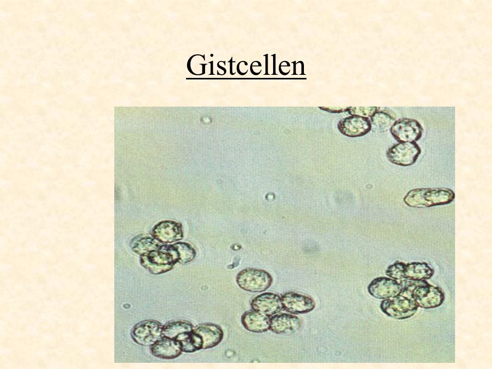 Gistcellen