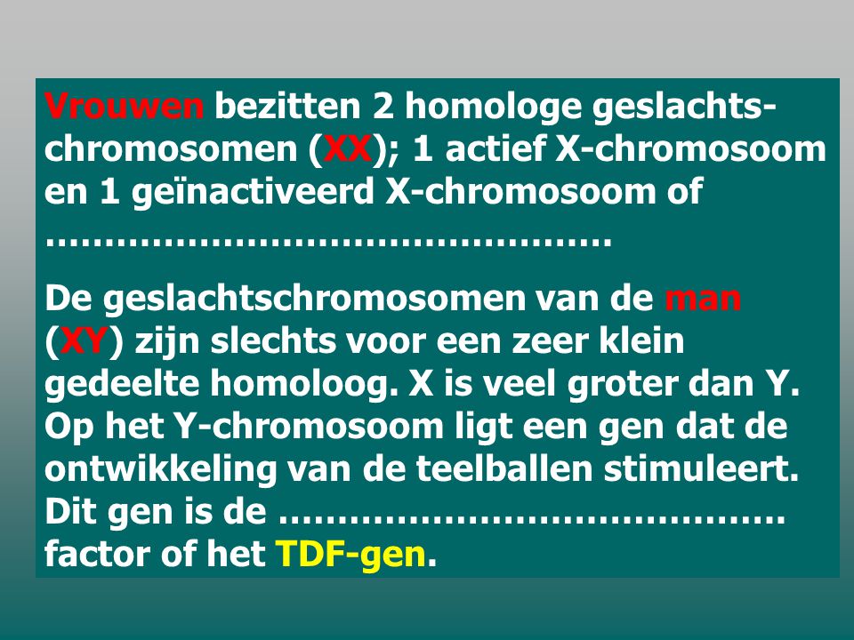 Vrouwen bezitten 2 homologe geslachts- chromosomen (XX); 1 actief X-chromosoom en 1 geïnactiveerd X-chromosoom of …………………………………………