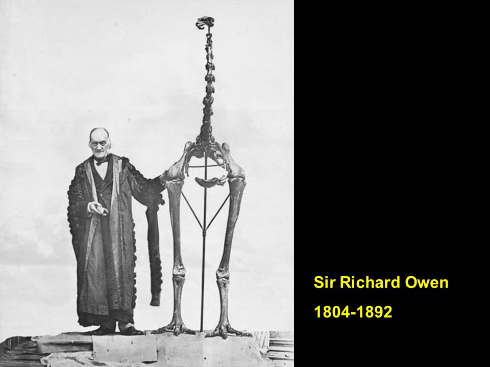 Sir Richard Owen
