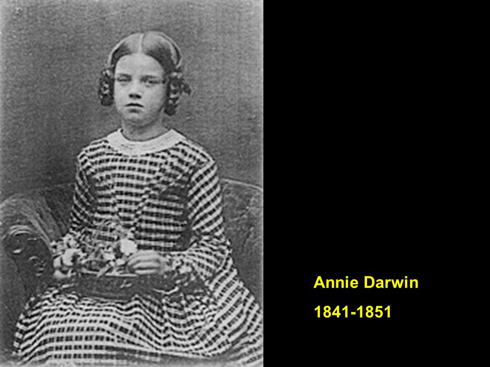 Annie Darwin