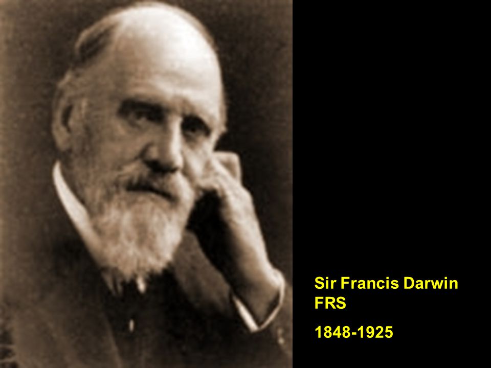 Sir Francis Darwin FRS
