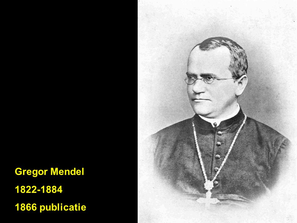 Gregor Mendel publicatie