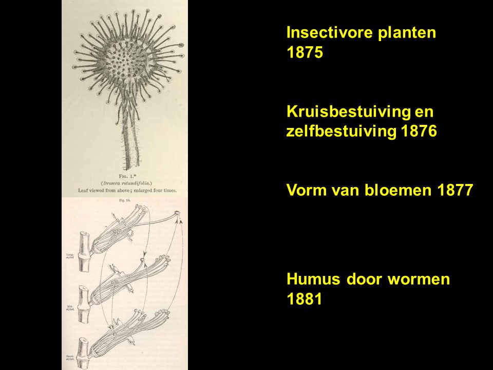 Insectivore planten 1875 Kruisbestuiving en zelfbestuiving 1876.