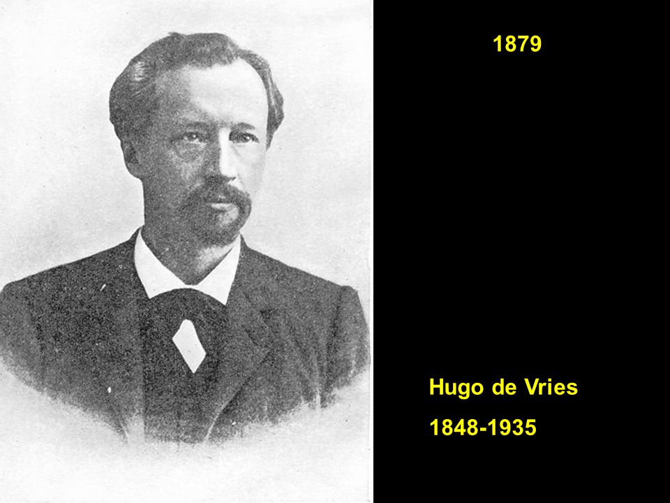 1879 Hugo de Vries