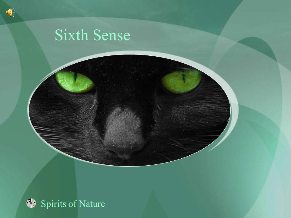 Sixth Sense Spirits of Nature
