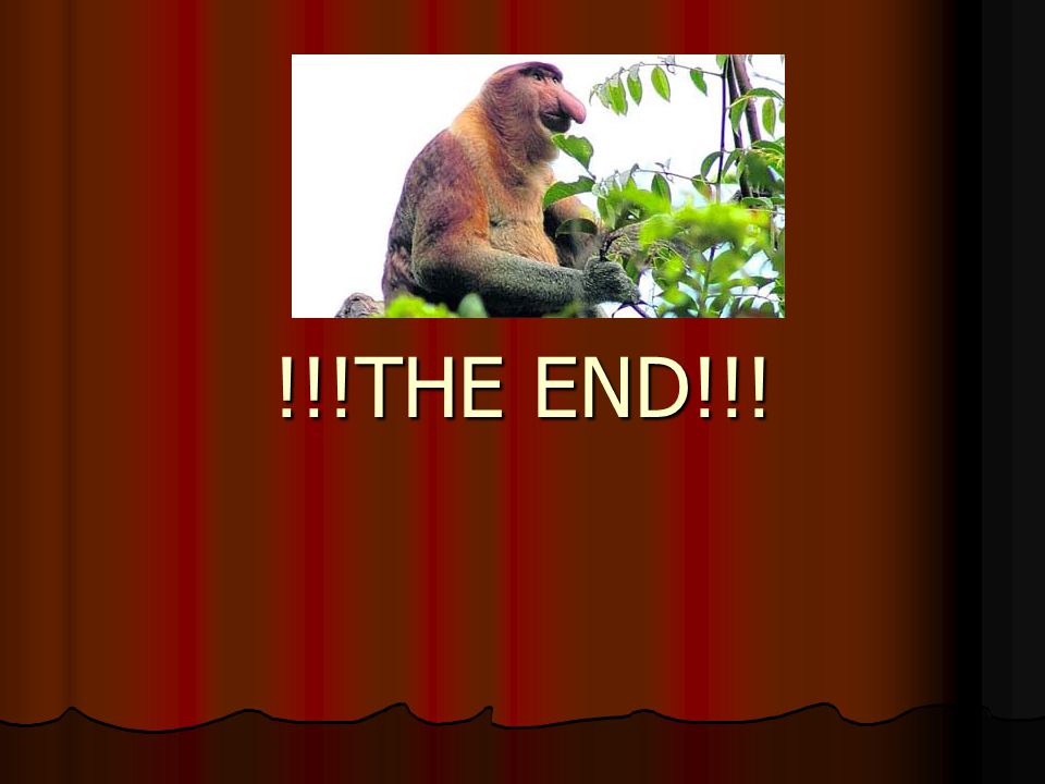 !!!THE END!!!