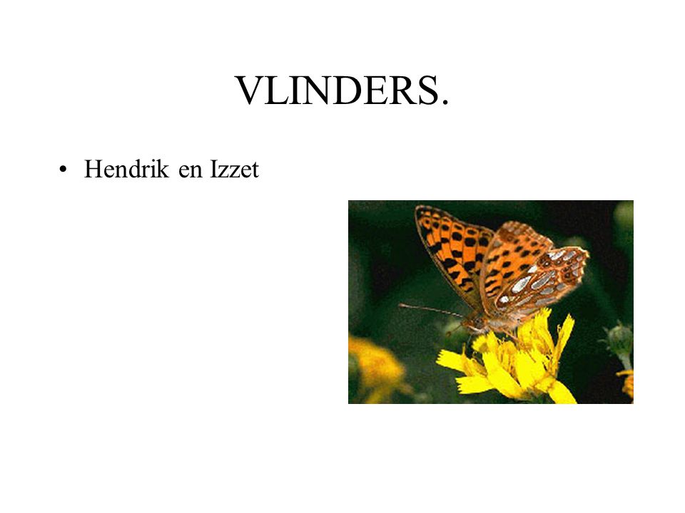 VLINDERS. Hendrik en Izzet