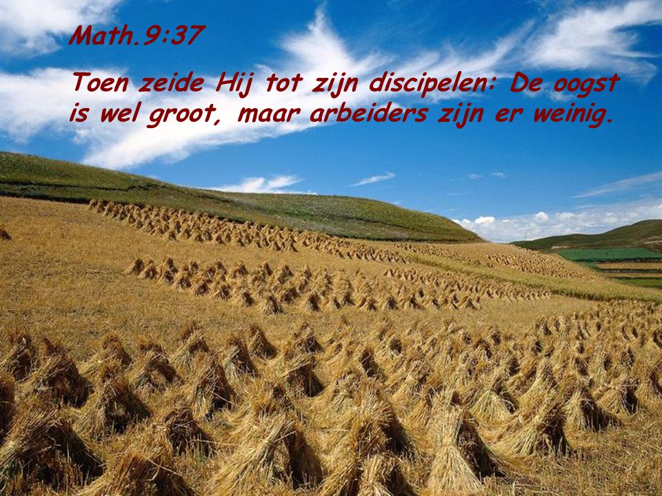 Math.9:37 Toen zeide Hij tot zijn discipelen: De oogst is wel groot, maar arbeiders zijn er weinig.