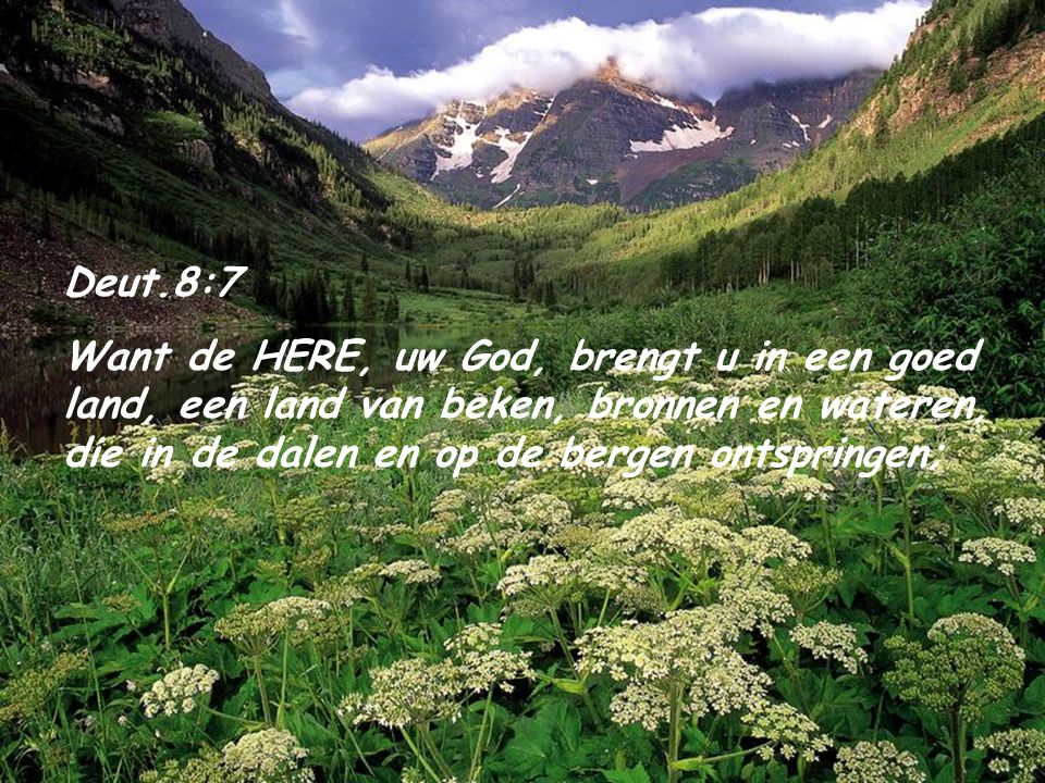 Deut.8:7 Want de HERE, uw God, brengt u in een goed land, een land van beken, bronnen en wateren, die in de dalen en op de bergen ontspringen;