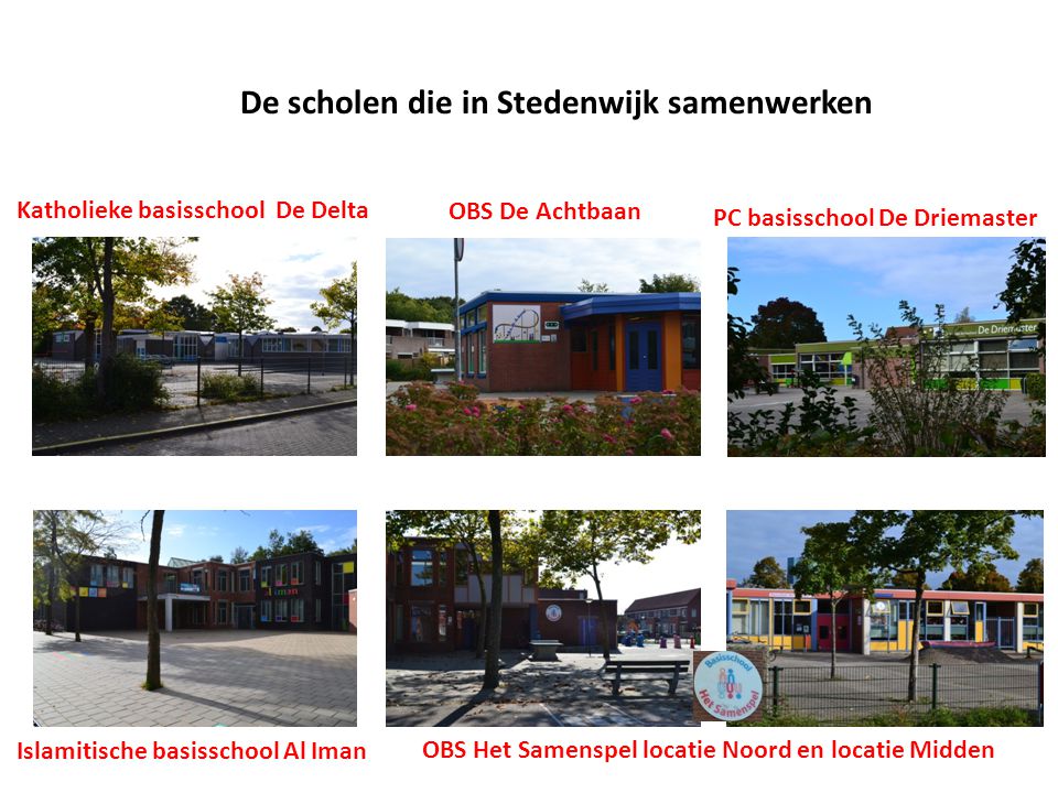 De scholen die in Stedenwijk samenwerken