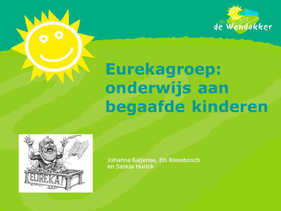Eurekagroep: onderwijs aan begaafde kinderen