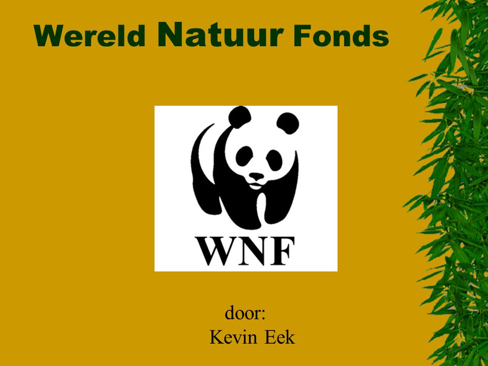 Wereld Natuur Fonds door: Kevin Eek