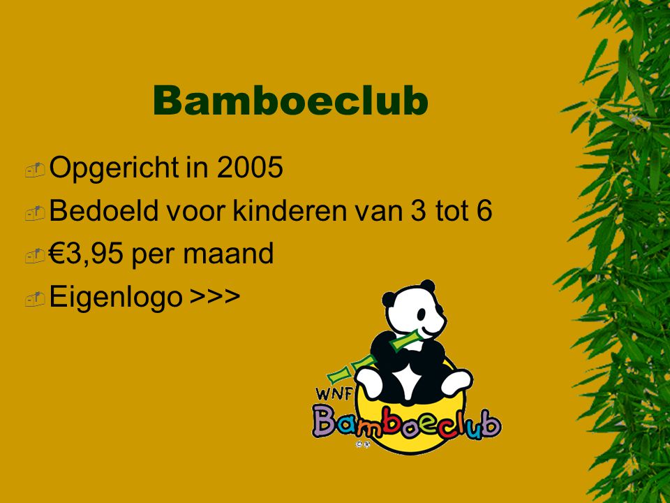 Bamboeclub Opgericht in 2005 Bedoeld voor kinderen van 3 tot 6
