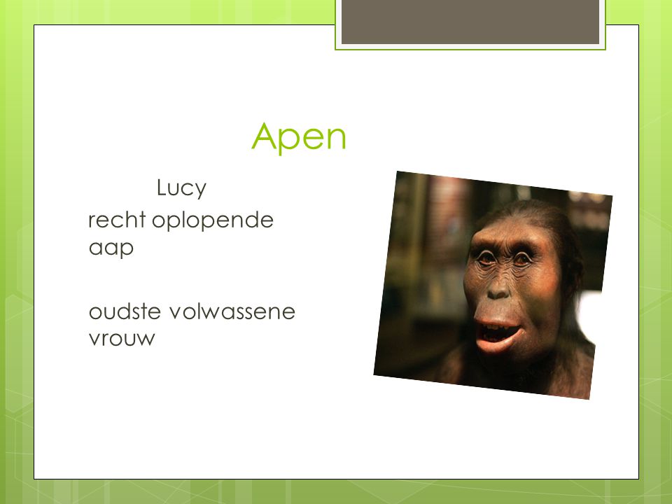 Apen Lucy recht oplopende aap oudste volwassene vrouw